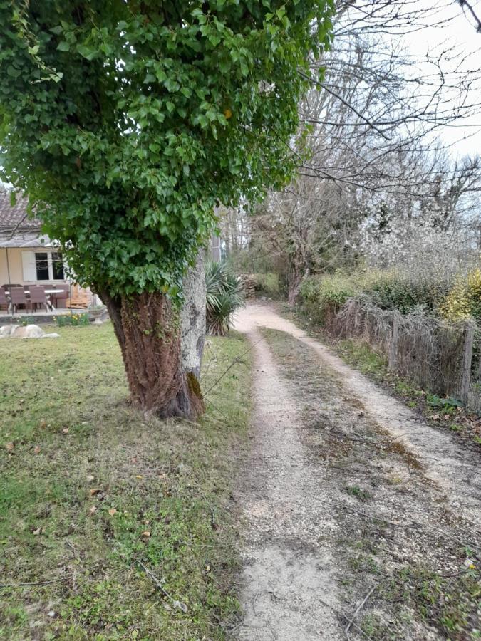 סן-סיפרייה Maison Dans Ecrin De Verdure En Perigord Noir מראה חיצוני תמונה